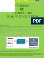 Proceso DE Reduccion: R.M. #220-2013.PCM