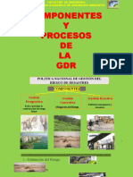 Componentes Y Procesos DE LA GDR