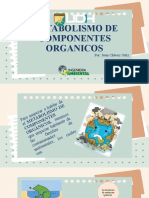 Metabolismo de Componentes Organicos: Por: Juan Chávez Ortiz
