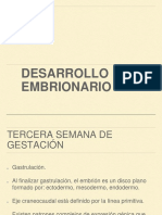 Desarrollo Embrionario