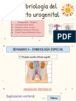 Anomalías del tracto urogenital