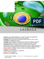 La Célula