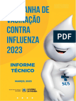 Informe Técnico Campanha Influenza