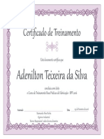 Certificado de Treinamento: Adenilton Teixeira Da Silva
