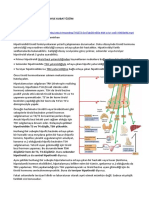 7 - Hipotiroidizm