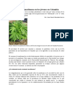 La Realidad de La Marihuana en Los Jòvenes en Colombia