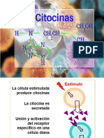 Citocina y Moleculas
