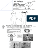 1 MI CUERPO-PARTES-FUNCIONES