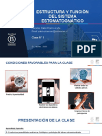 Estructura Y Función Del Sistema Estomatognático