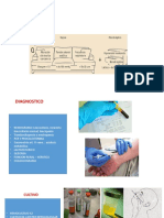 Diagnostico: Clinica Qsofa