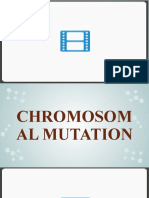 Chromosomal Mutation