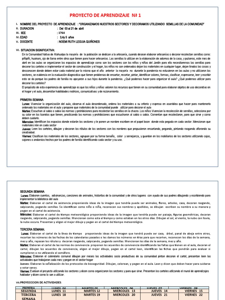 Proyecto de Aprendizaje N 1 | PDF | Salón de clases | Enseñando