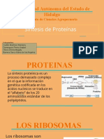 Universidad Autónoma Del Estado de Hidalgo: Síntesis de Proteínas