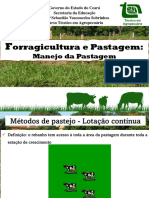 Orragicultura e Pastagem