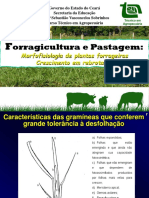 Orragicultura e Pastagem:: Morfofisiologia de Plantas Forrageiras Crescimento em Rebrotação