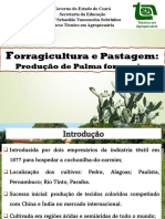 Orragicultura e Pastagem:: Produção de Palma Forrageira