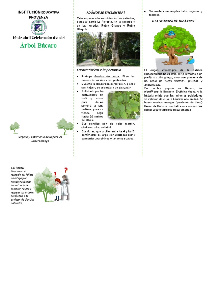 Celebración del Día del Árbol Búcaro | PDF | Plantas | Botánica