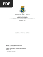 Universidade Federal Do Ceará Centro de Ciências Departamento de Física Laboratório de Física Experimental para Engenharia SEMESTRE 2022.1