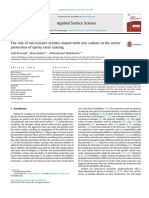 The Role of Micronano Zeolites Doped With Zinc Cations in The Active