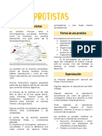 Definición de Protistas Partes de Una Protista: Facultad de Ciencias Biológicas Clase 10 - Protistas - Beatriz Diez