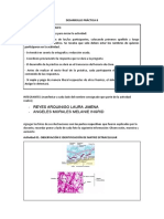 DESARROLLO PRÁCTICA 8 Bio