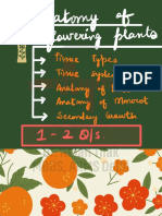Anatomy of flowering plants tissue types and systems