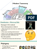 1.3 Phylogeny