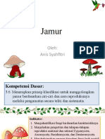 Jamur New