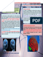 Resumen de Neurociencia - Daniel