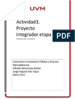 Proyecto Integrador Mercadotecnia