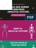 Skeletal System Zoology Report