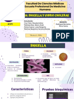 Shigella y Vibrio Cholerae