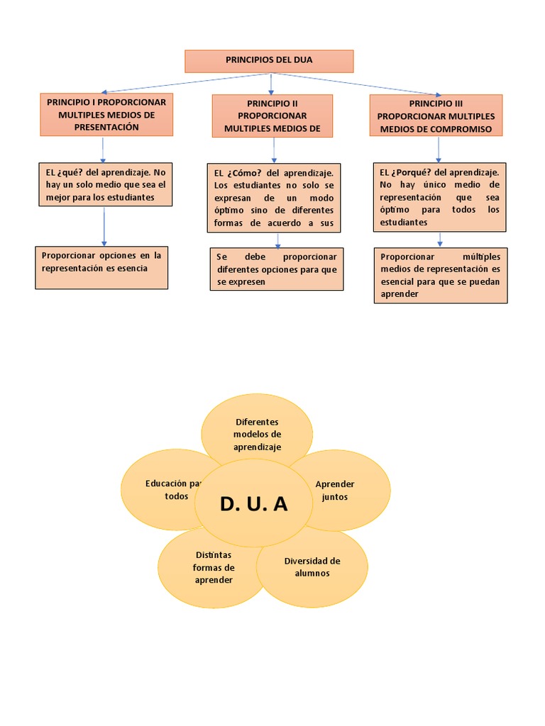 Principios del Diseño Universal de Aprendizaje | PDF