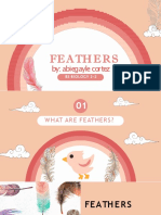 Everything You Need to Know About Feathers