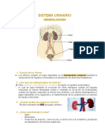 Sistema Urinario