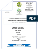 Rapport de Fin de Stage Pratique Effectué Au Lycée Classique Et Moderne D'ebolowa Du 27 Février Au 22 Mars 2023