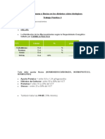 Nutrición Humana-Trabajo 2