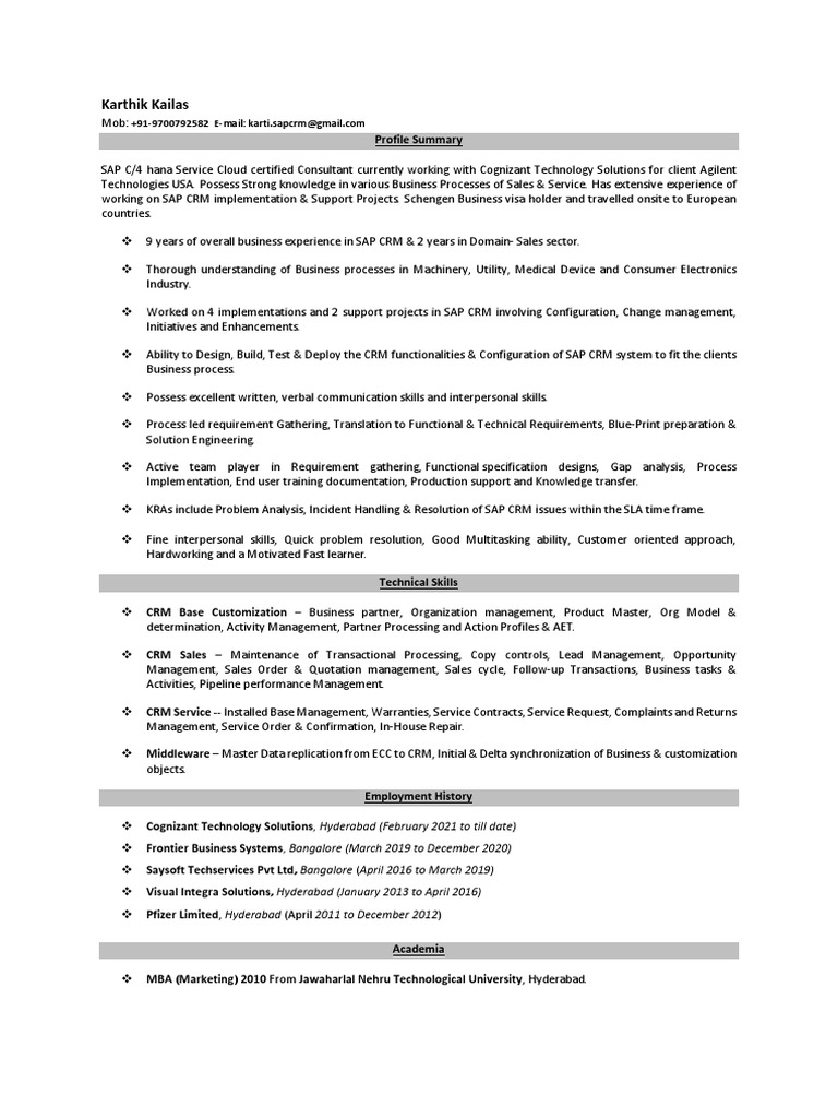Karthik Resume | Download Free PDF | Customer Relationship Management ...