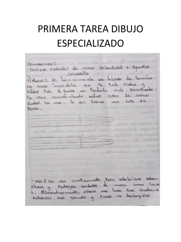 Tareas de Dibujo Especializado | PDF