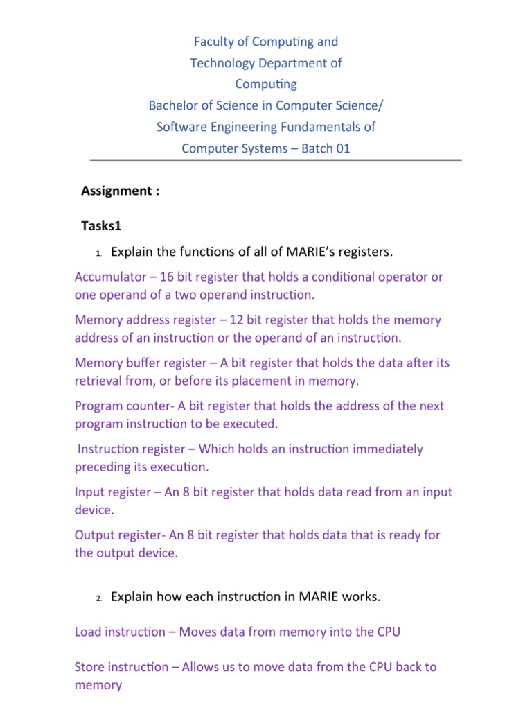Computer Systems ASSIGNMENT | PDF | Computer Hardware | Office Equipment