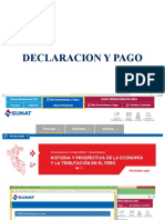 Declaracion y Pago