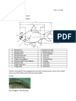 Tugas Pendahuluan Ikan