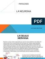 Patologia-La Neurona