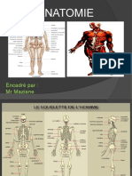 Anatomie: Encadré Par: MR Maziane