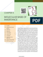 Molecular Basis of Inheritance: Rationalised 2023-24