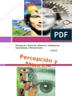 Procesos Cognitivos