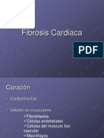 Fibrosis Cardiaca