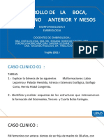 Desarrollo de la boca, intestino anterior y meso. Morfología y fisiología II. Embriología. Caso clínico de estenosis esofágica congénita