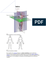 Plano Anatómico