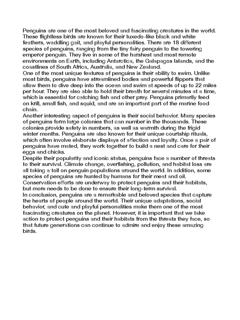 Penguins Essay | PDF | Penguin | Birds